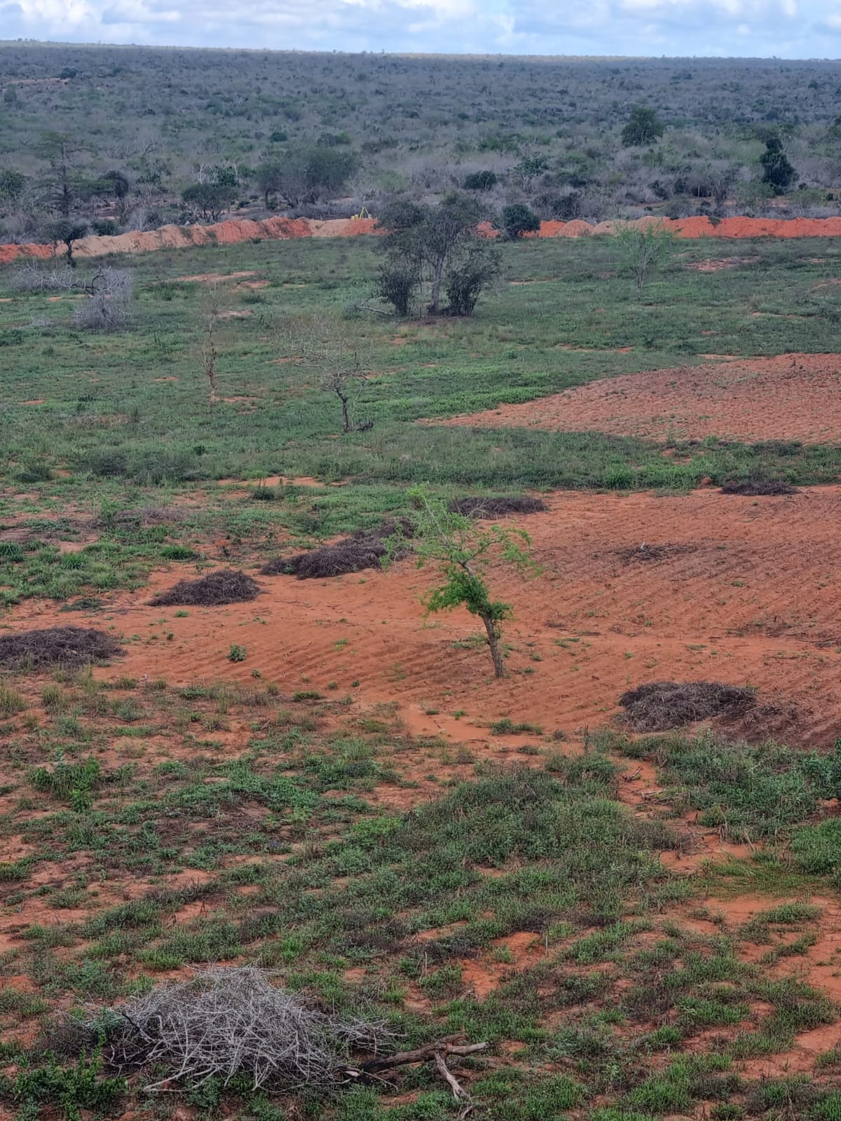 WhatsApp-Image-2023-11-15-at-11.59.44-AM