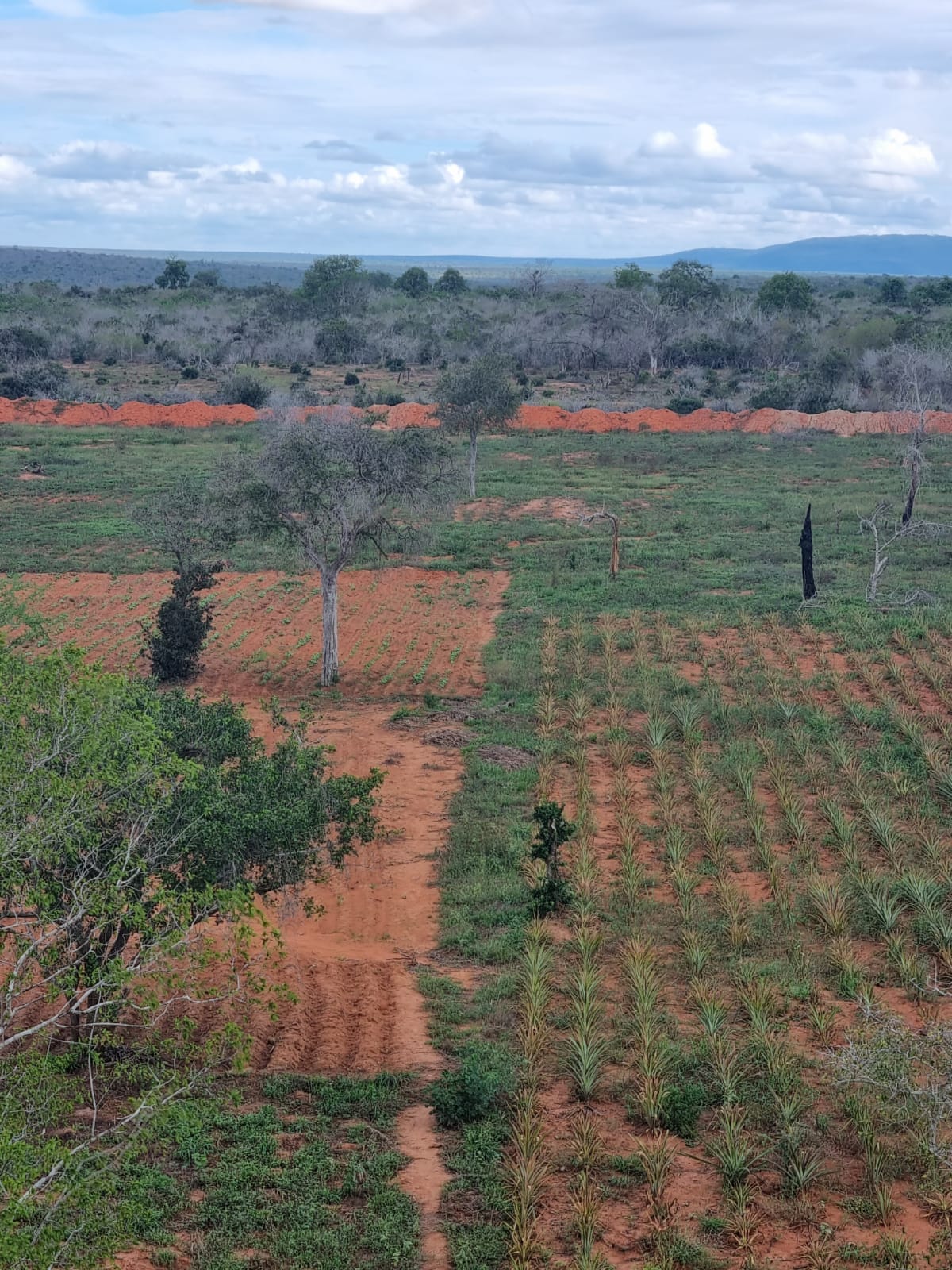 WhatsApp-Image-2023-11-15-at-11.59.44-AM1