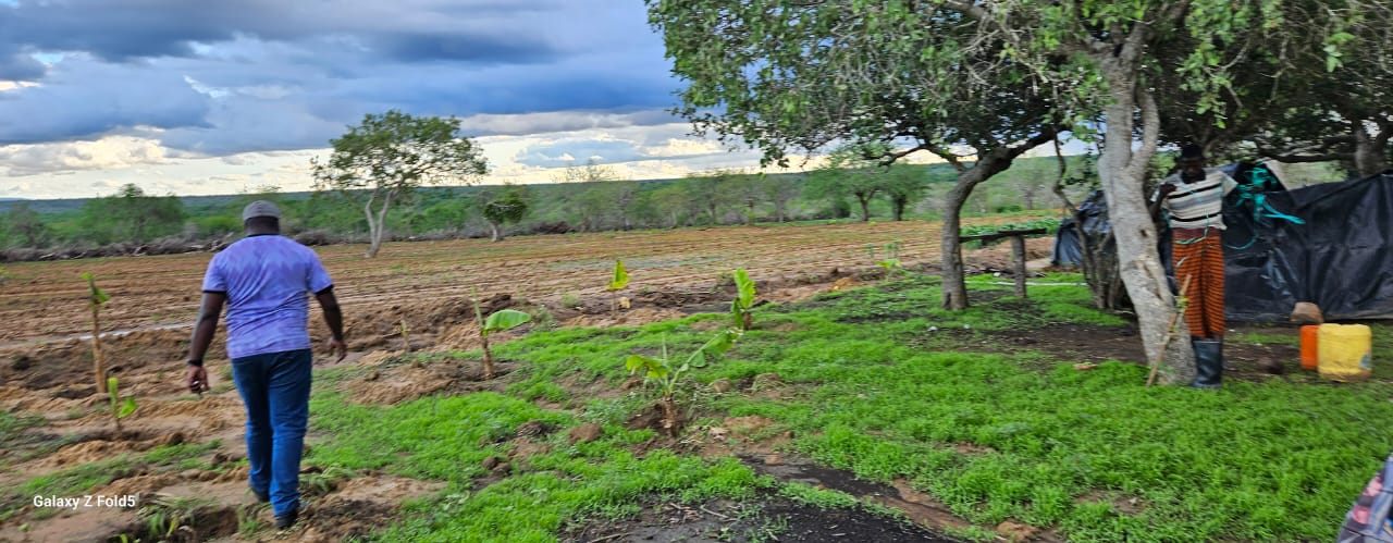 WhatsApp-Image-2023-11-15-at-11.59.45-AM1