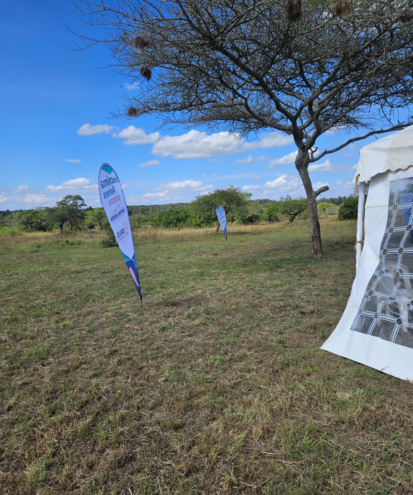 WhatsApp-Image-2024-05-30-at-10.45.40-AM-1